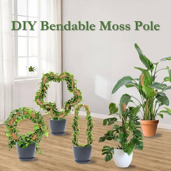 0 - Tuteur coco flexible 100cm pour plantes grimpantes - DIY & écologique - 2 pack - Image 4