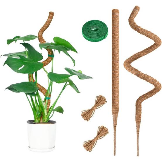 0 - Tuteur coco flexible 100cm pour plantes grimpantes - DIY & écologique - 2 pack - Image 1