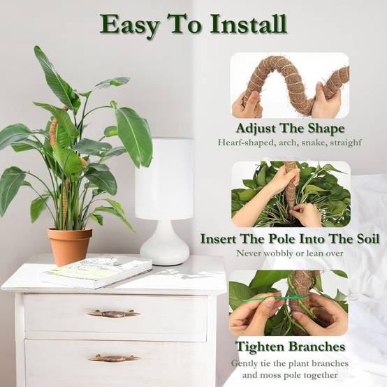 0 - Tuteur coco flexible 100cm pour plantes grimpantes - DIY & écologique - 2 pack - Image 3