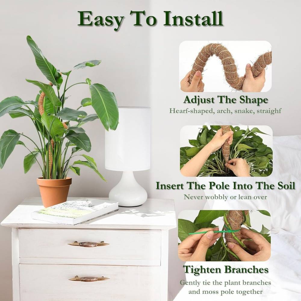 0 - Tuteur coco flexible 100cm pour plantes grimpantes - DIY & écologique - 2 pack - Image 3