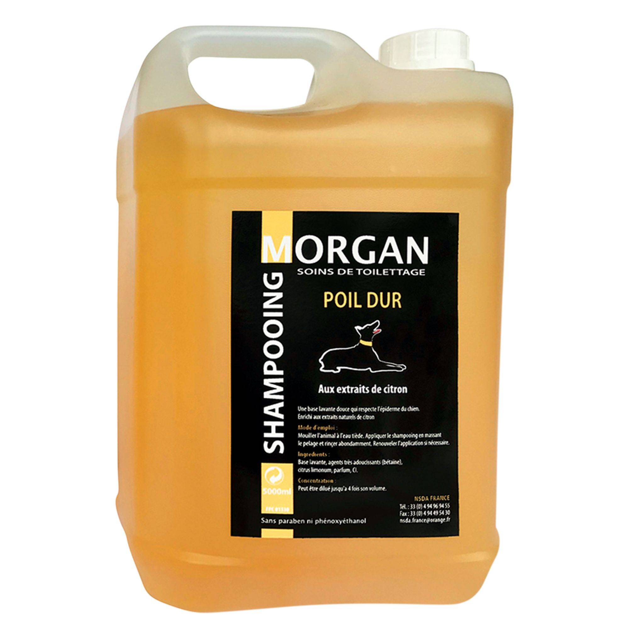 Shampooing poils durs : 5L MORGAN