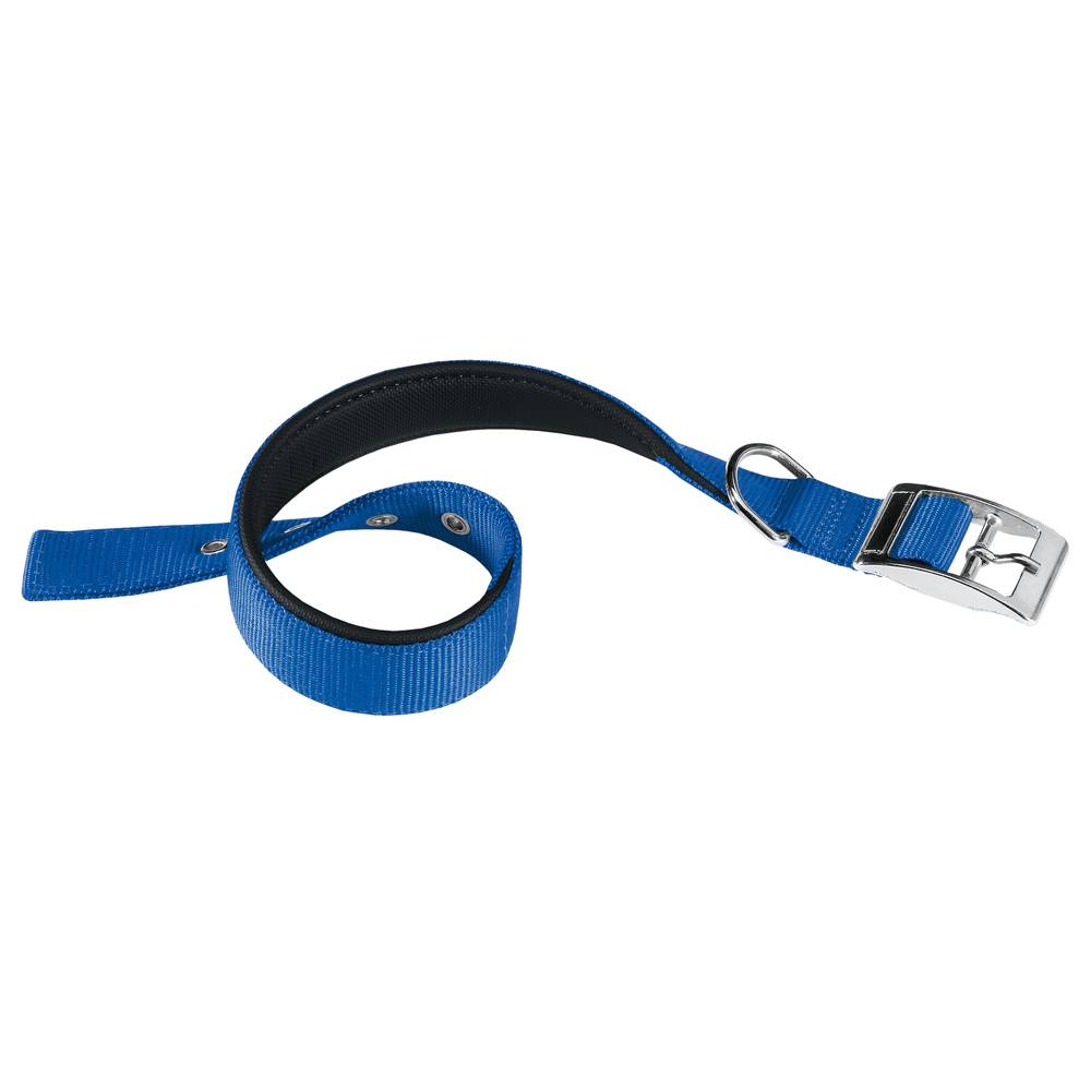 Ferplast - Collier chien chiens nylon souple rembourrage FERPLAST DAYTONA différentes tailles et couleurs - Imagen 1