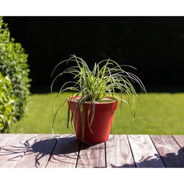 EDA Plastiques - Eda Pot De Fleur Rond Toscane - ø 30 X H 26 Cm - 10 L - Rouge Rubis - Imagen 2