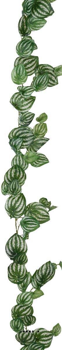 Artificielles - Guirlande factice ramifiée de feuilles de Peperomia H180cm magnifique - Imagen 3