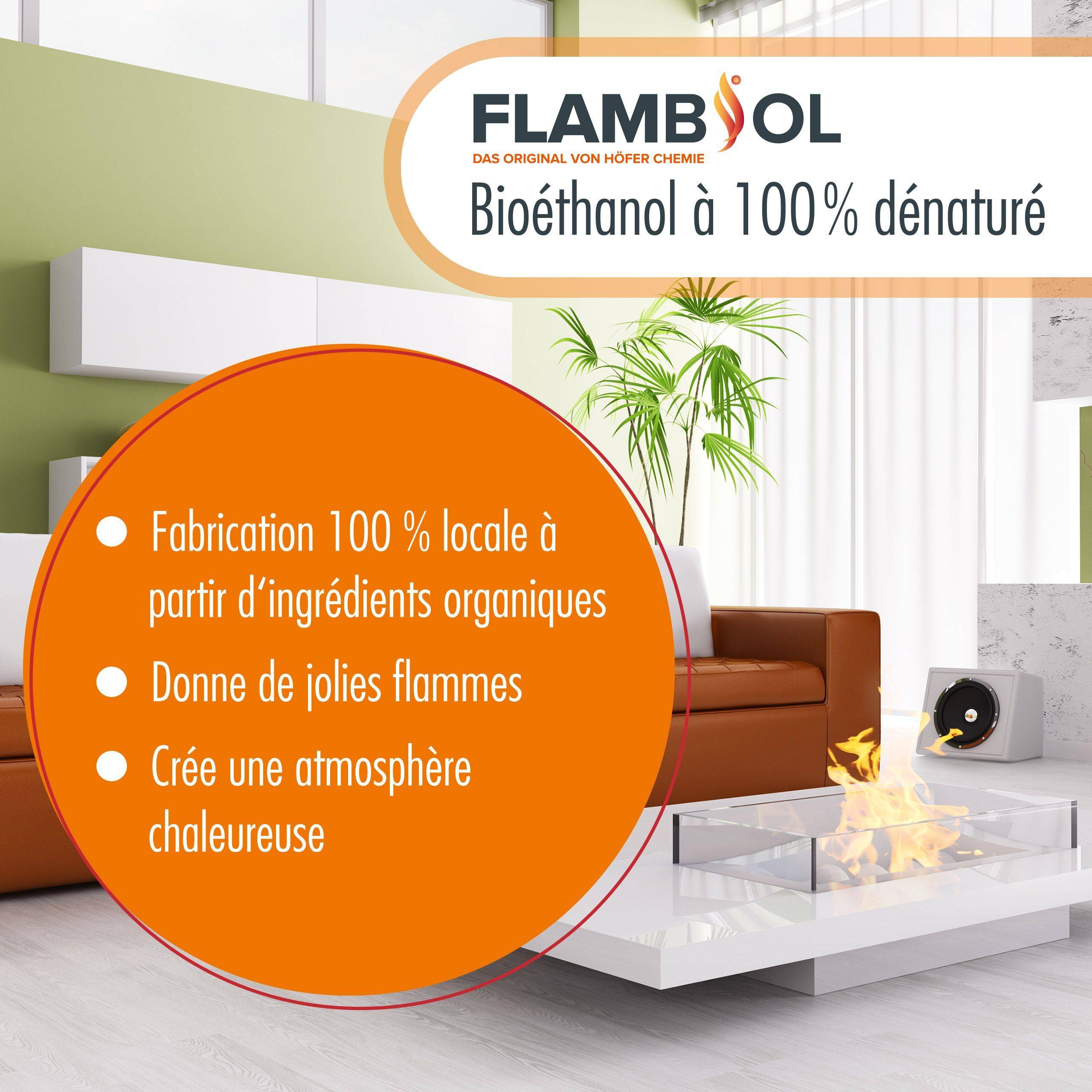Bioéthanol à 96,6% dénaturé FLAMBIOL® en bouteille de 1L x 24 - Image 2
