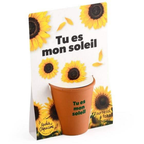 Radis et Capucine - Radis et Capucine - Carte message - Tu es mon soleil -  Tournesol - Image 1