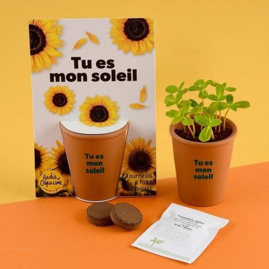 Radis et Capucine - Radis et Capucine - Carte message - Tu es mon soleil - Tournesol - Image 2