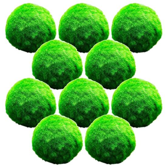 0 - Boules de Mousse Marimo - 10 pièces - Cladophora aegagropila - 5 cm - Image 1