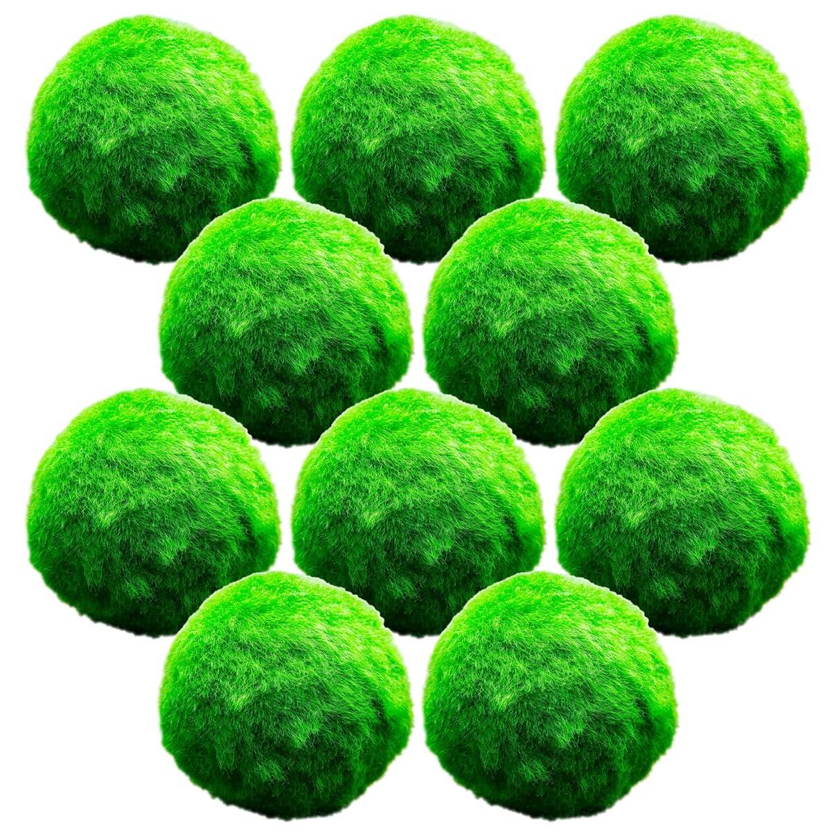 0 - Boules de Mousse Marimo - 10 pièces - Cladophora aegagropila - 5 cm - Image 1