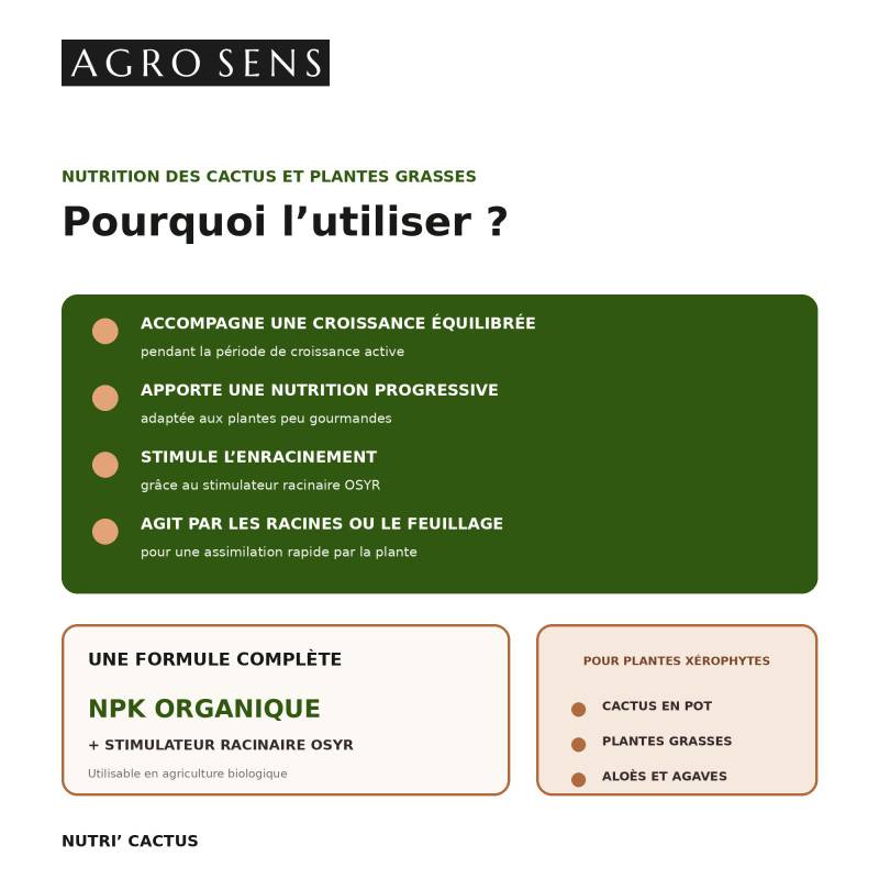 Nutri Cactus - Engrais liquide pour cactus et plantes grasses - 500 ml (250 litres de préparation) - Image 2