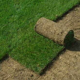 Gazon Duguet - Gazon naturel prêt à poser : 130 m² - Imagen 1