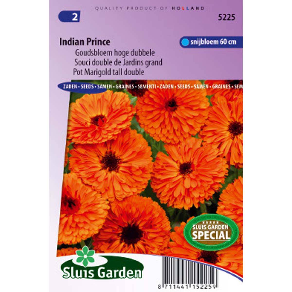 Promesse de Fleurs - Graines de Calendula officinalis Indian Prince - Souci des Jardins le sachet de 250 graines environ (2g)