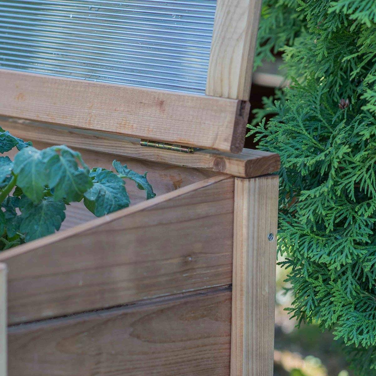 Serre châssis en bois 100 cm - Cémonjardin - Imagen 7