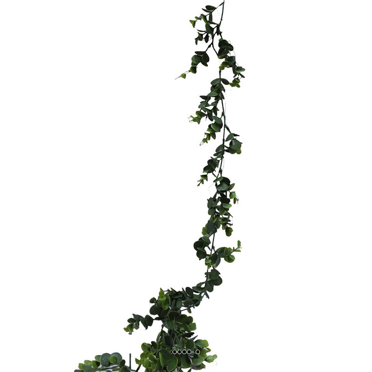 Artificielles - Guirlande d'eucalyptus artificiel L 150 cm en plastique - Imagen 1