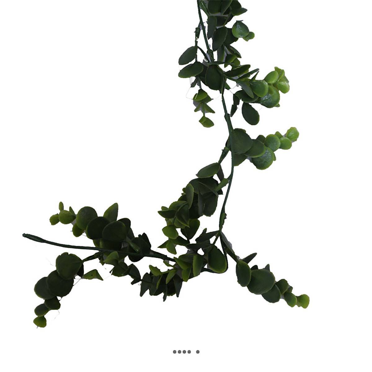Artificielles - Guirlande d'eucalyptus artificiel L 150 cm en plastique - Imagen 2