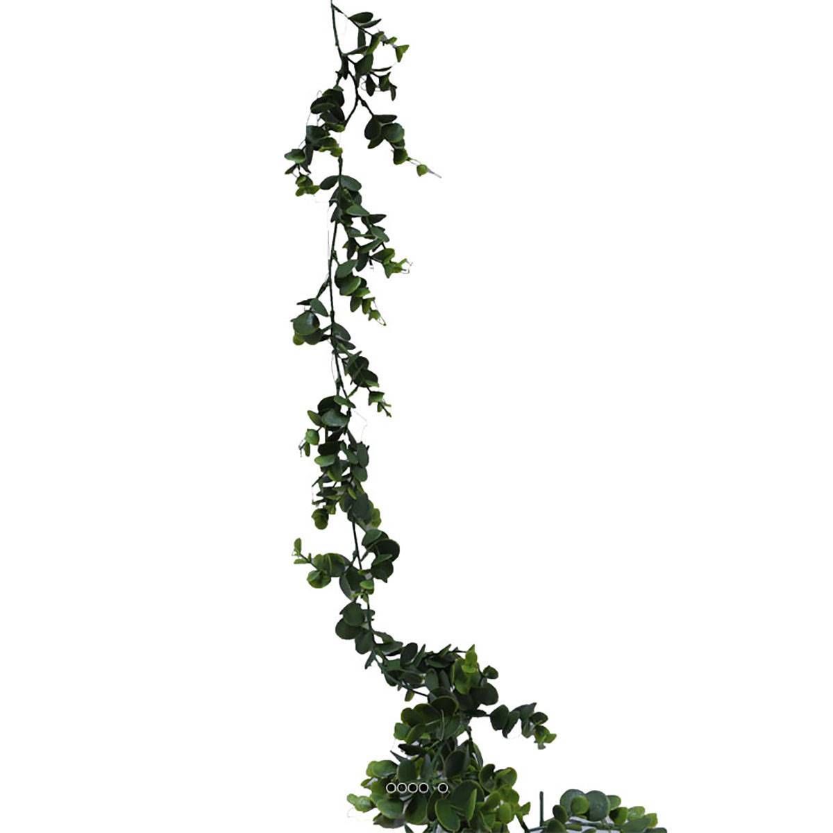 Artificielles - Guirlande d'eucalyptus artificiel L 150 cm en plastique - Imagen 3
