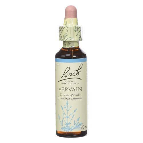 Vervain -  Fleurs de Bach n°31 Fleur de Bach