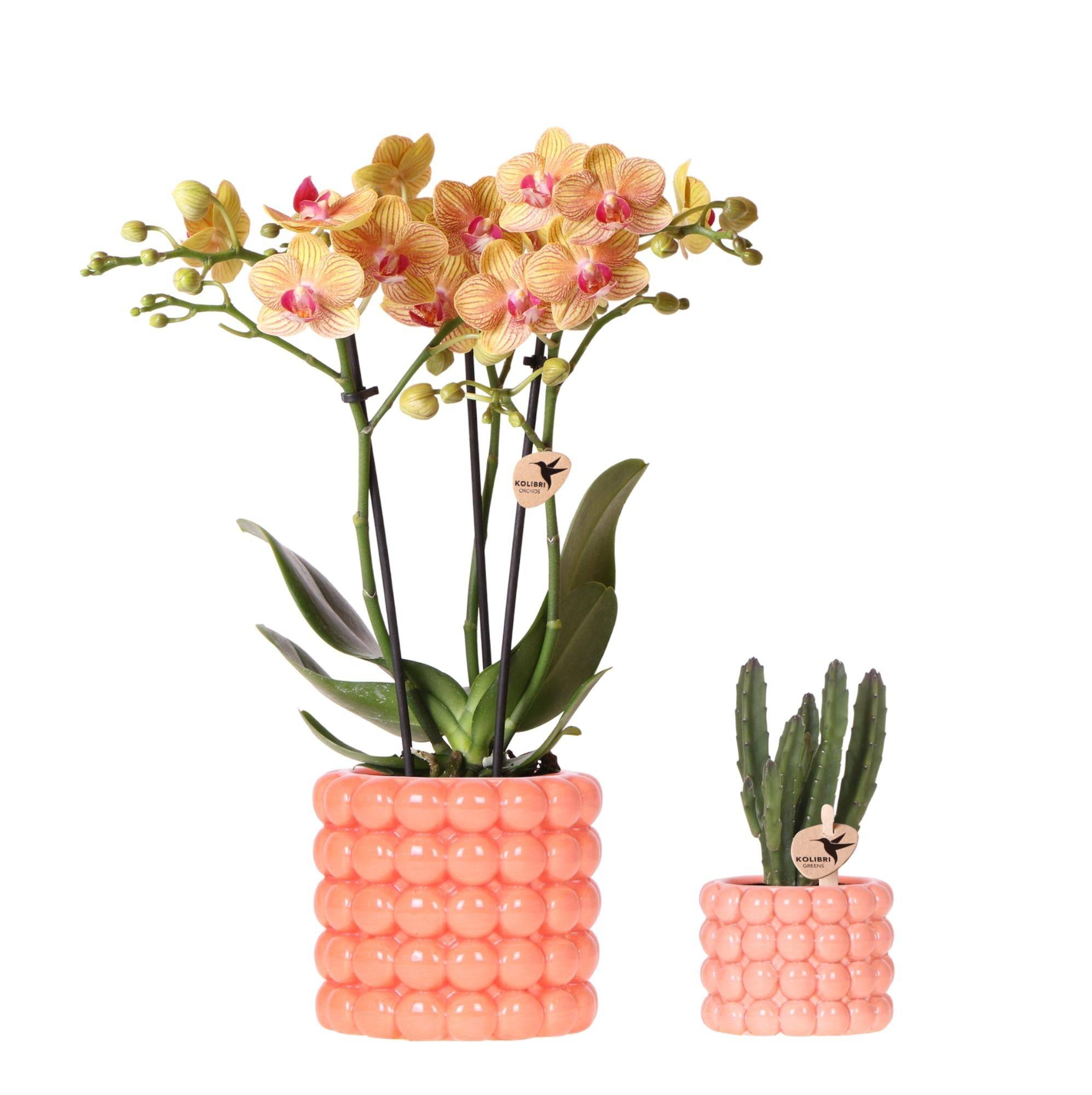 Poppy Orange - H35cm