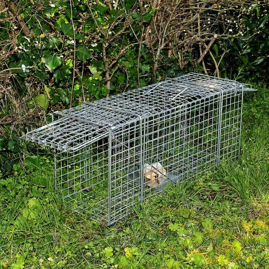 Cage à nuisibles double entrée grand modèle - Image 4