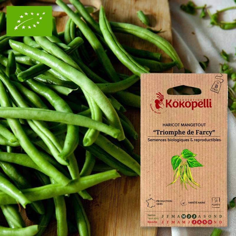 Haricot Mangetout Nain Triomphe de Farcy- Graines bio à semer - Image 1