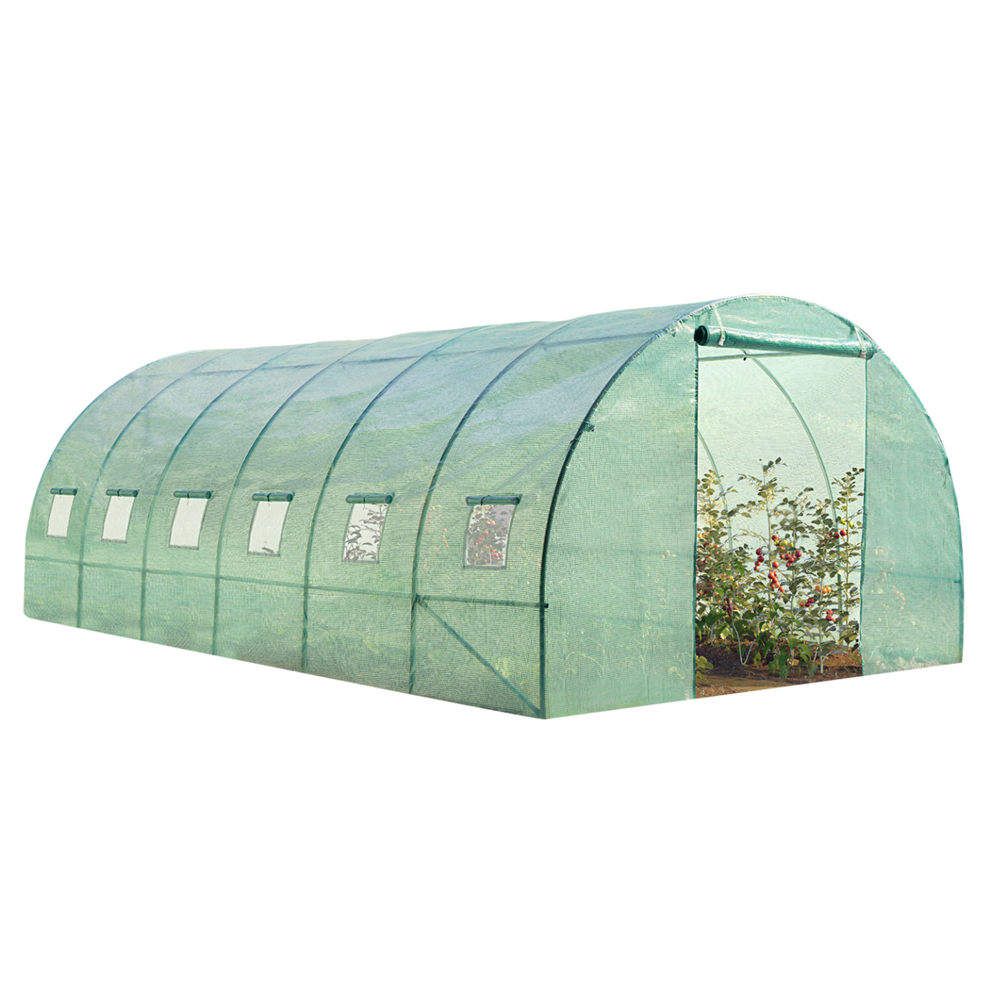 Serre tunnel de jardin 18m² verte gamme maraîchère CRIMÉE 6x3m - Image 2