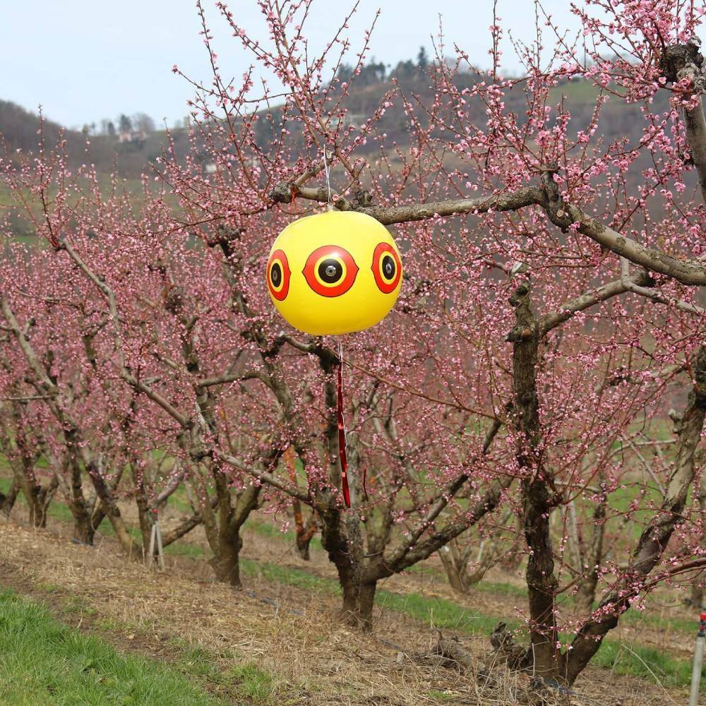 Terre Jardin - Ballon effaroucheur d'oiseaux x2 - Imagen 5