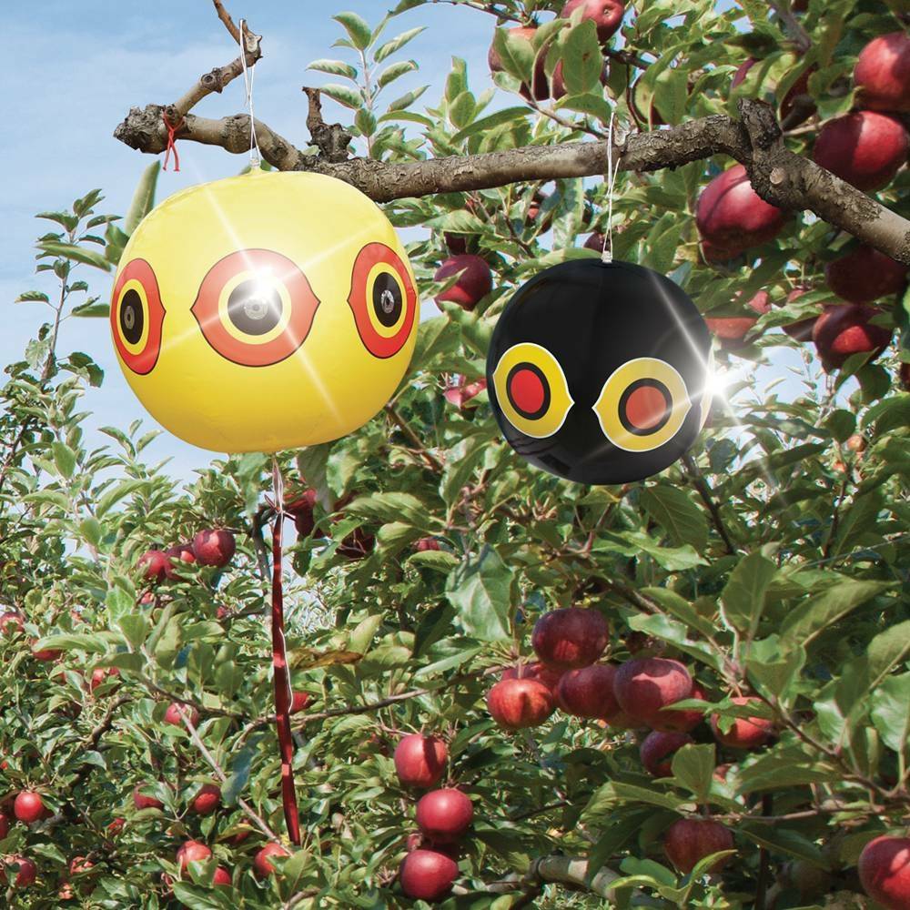 Terre Jardin - Ballon effaroucheur d'oiseaux x2 - Imagen 6