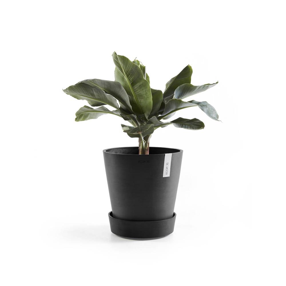 Ecopots - Support à roulettes Wheels 60 Gris Foncé - Ø 51 x H. 12,4 cm ECOPOTS - Imagen 3