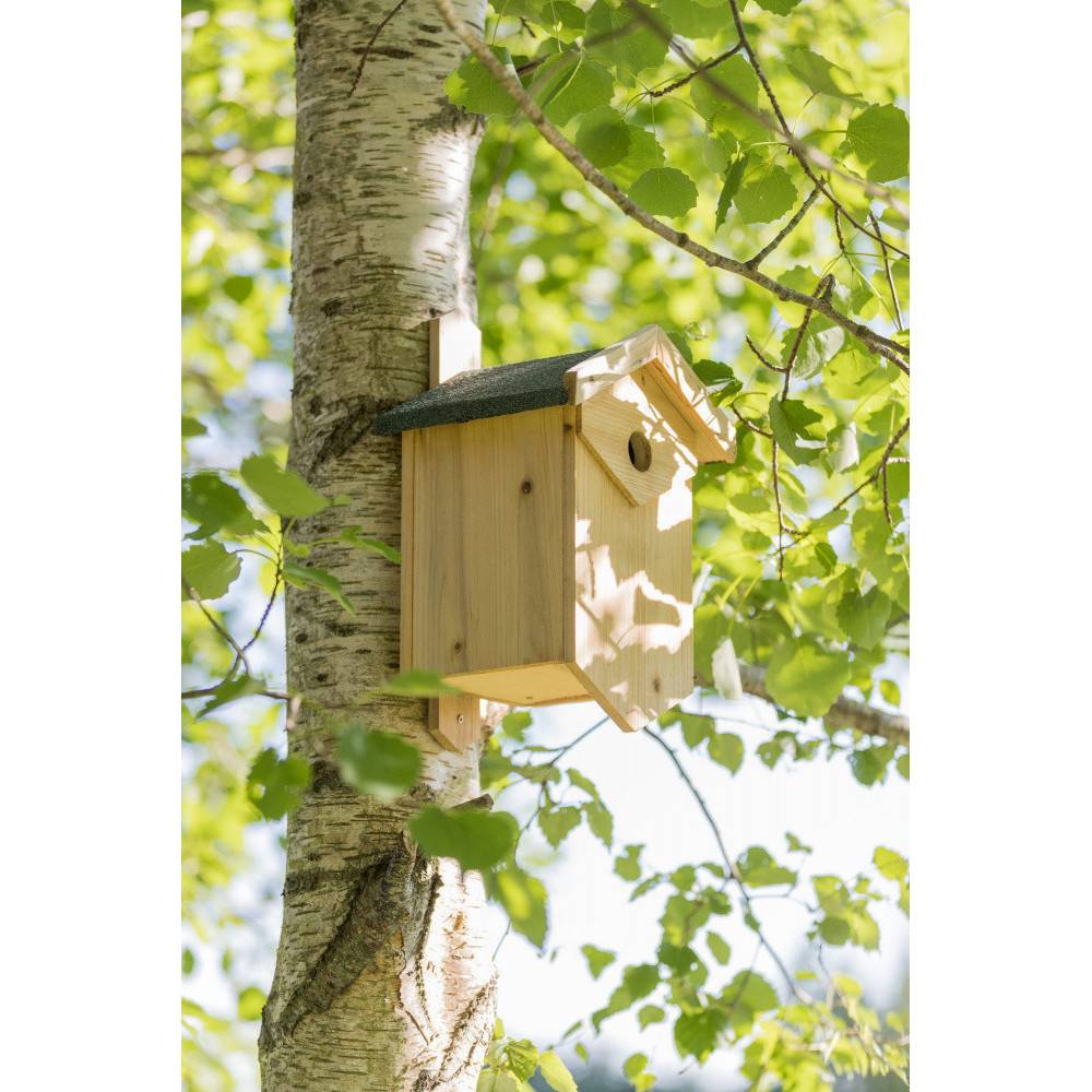 animallparadise - Nichoir pour les oiseaux nichant dans les cavités. Dimensions: 25 × 40 × 22 cm/ø 2,7 cm - Imagen 2