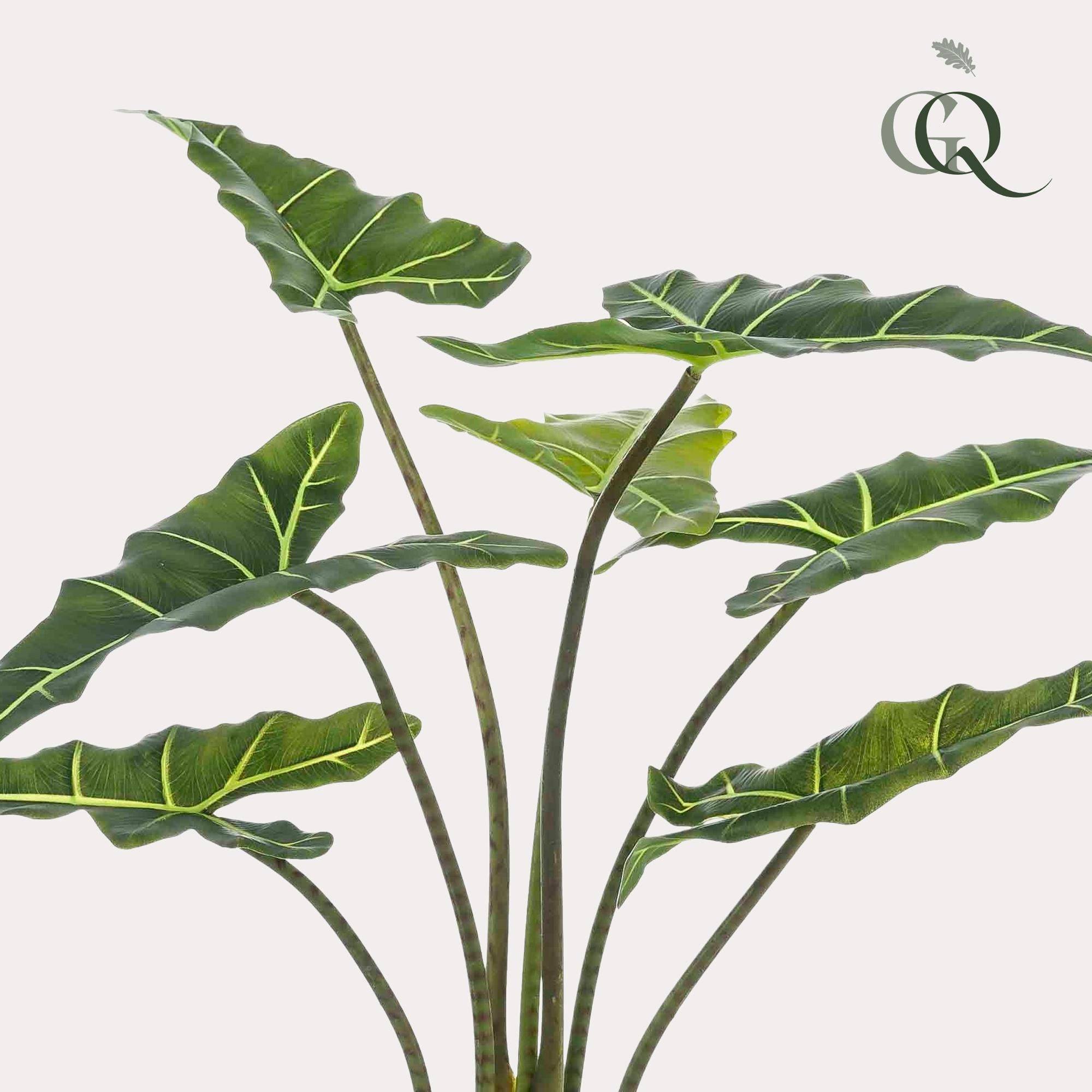 La Green Touch - Alocasia plante artificielle - h90cm, Ø14cm- La Green Touch - Imagen 2
