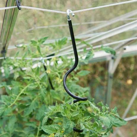 Halls - Serre de jardin Universal en verre trempé avec base de 9.9m², Couleur Aluminium - Imagen 8