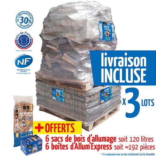 WOODSTOCK - Lot de 3 Packs Découverte Woodstock soit 120 packs de bûches densifies + 3 900 dm de bûches 30 cm + allumage offert - Image 2