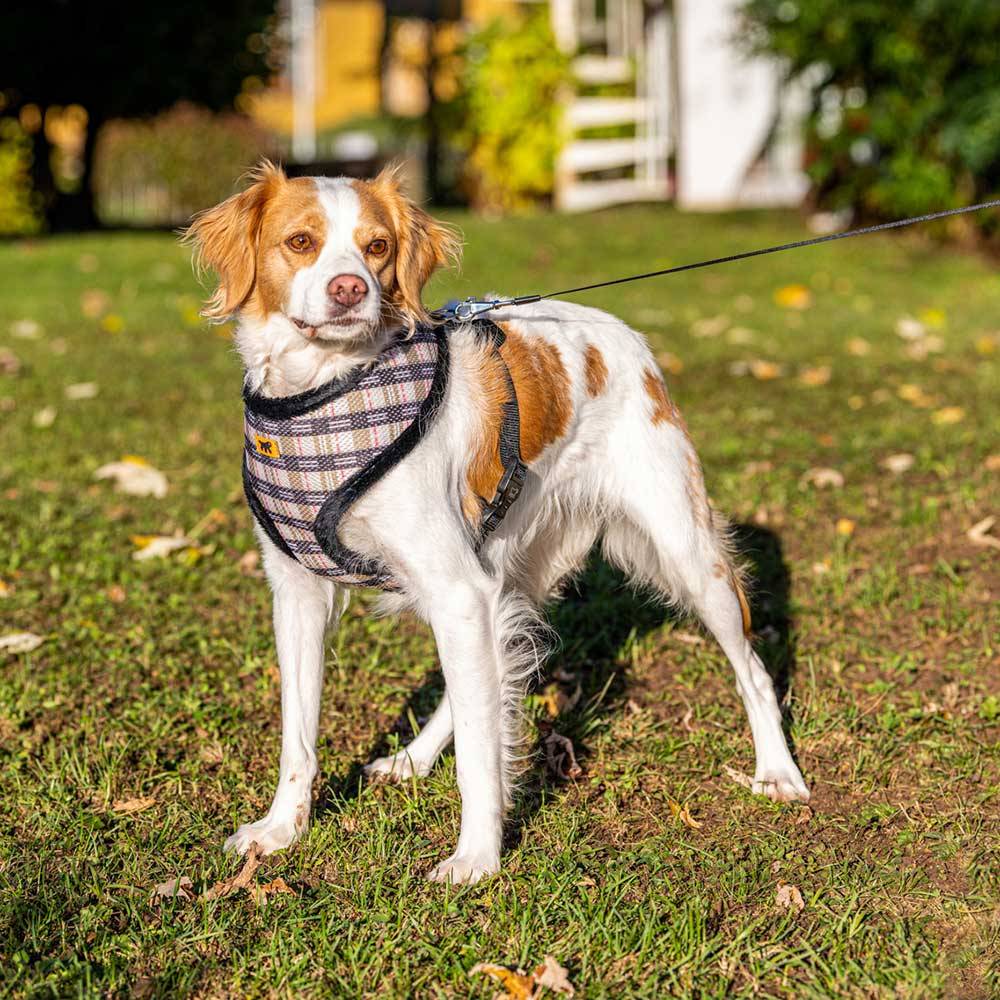 Ferplast - NIKITA FUR XL Harnais pour Chien, Respirant, Fourrure Ecologique Douce, Sangle Réglable, Tartan - Imagen 4