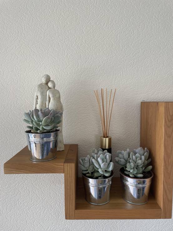 La Green Touch - Succulentes Pachyphytum Oviferum - Lot de 3 - Pot Zinc- La Green Touch - Image 3