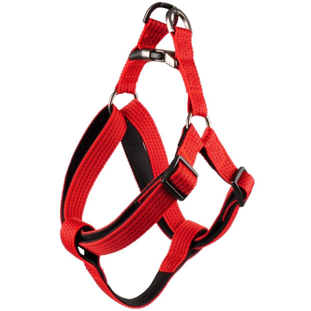 Harnais Jannu S 25-45 cm 15 mm  rouge pour chien - Imagen 1