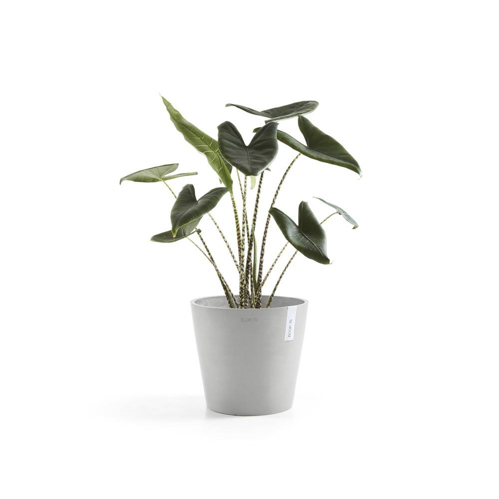 Ecopots - Pot Rond Amsterdam 25 Blanc Gris - Ø 25,4 x H. 24,5 cm - 9,7 L ECOPOTS - Imagen 2