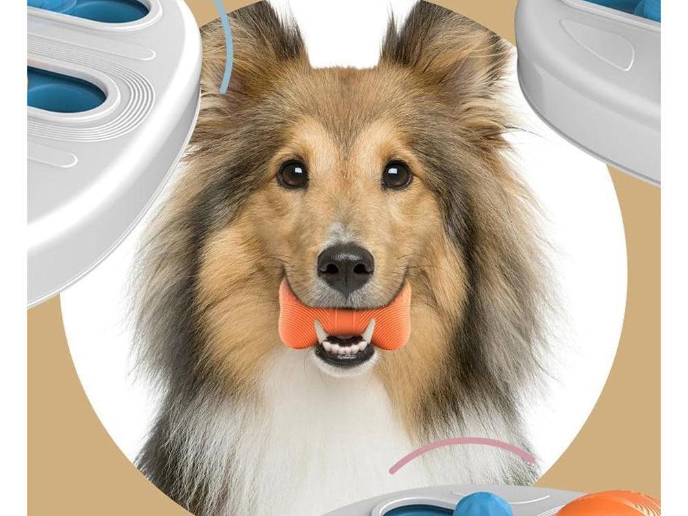 Objet éducatif pour chien jeu de friandises logique objet à mâcher olfactif - Image 5