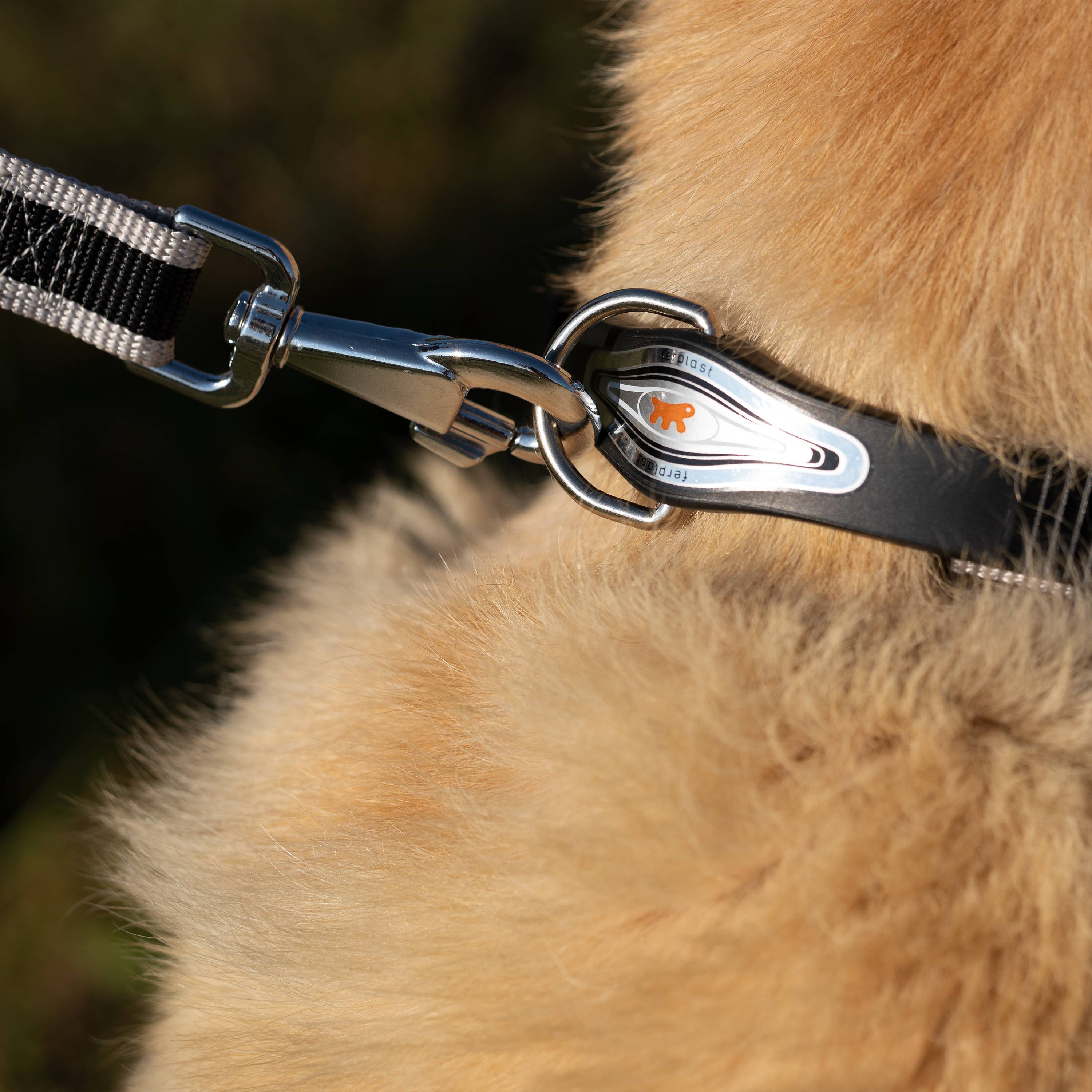 Ferplast - Ferplast Collier Chien ERGOCOMFORT C15/33, Collier pour Chiens de Grande Taille, Fermeture avec Micro-ajustement, Rembourrage Doux, Dégagement Rapide, - Imagen 4