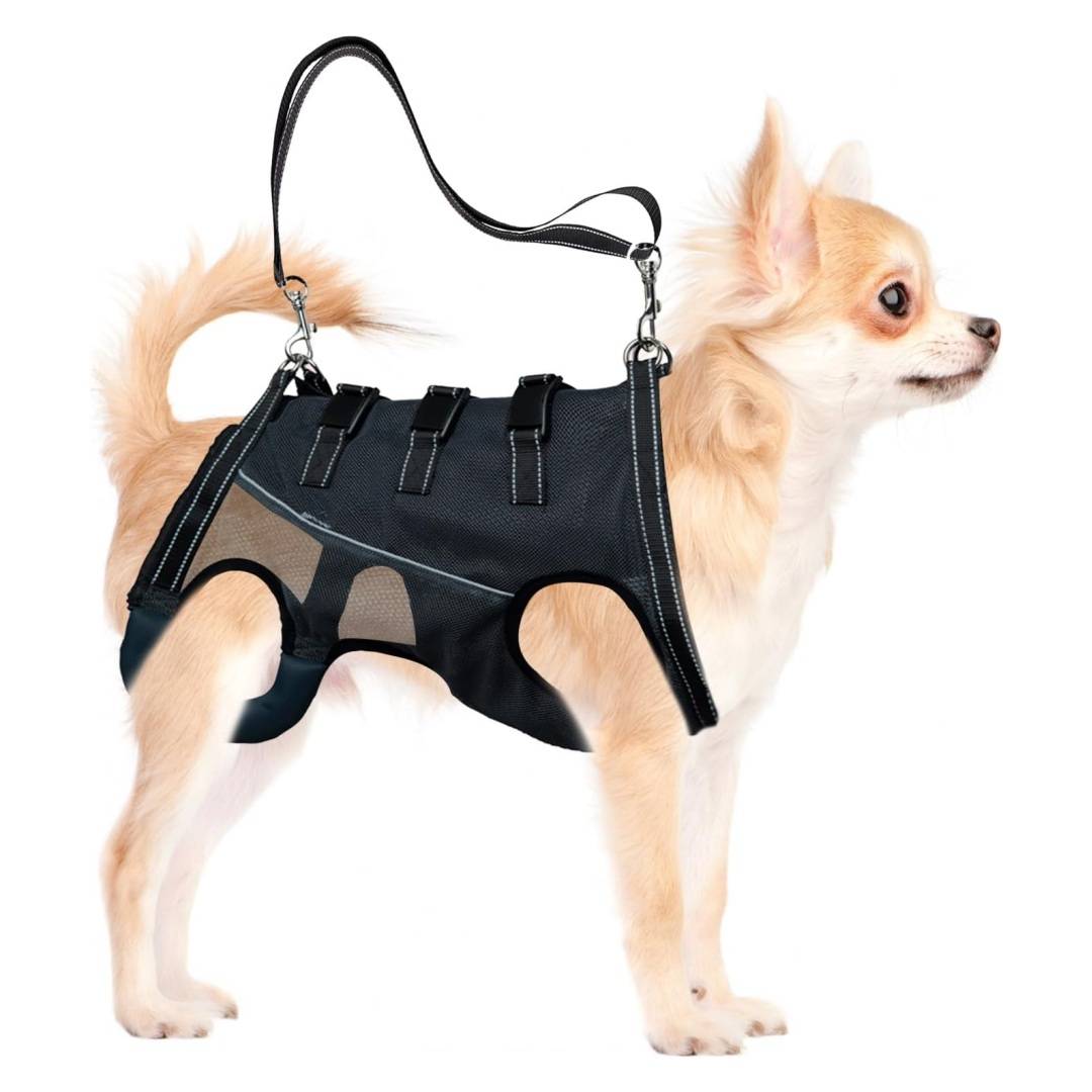 Harnais de levage pour chiens handicapés DtopbuyAge - Image 1