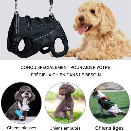 Harnais de levage pour chiens handicapés DtopbuyAge - Image 7