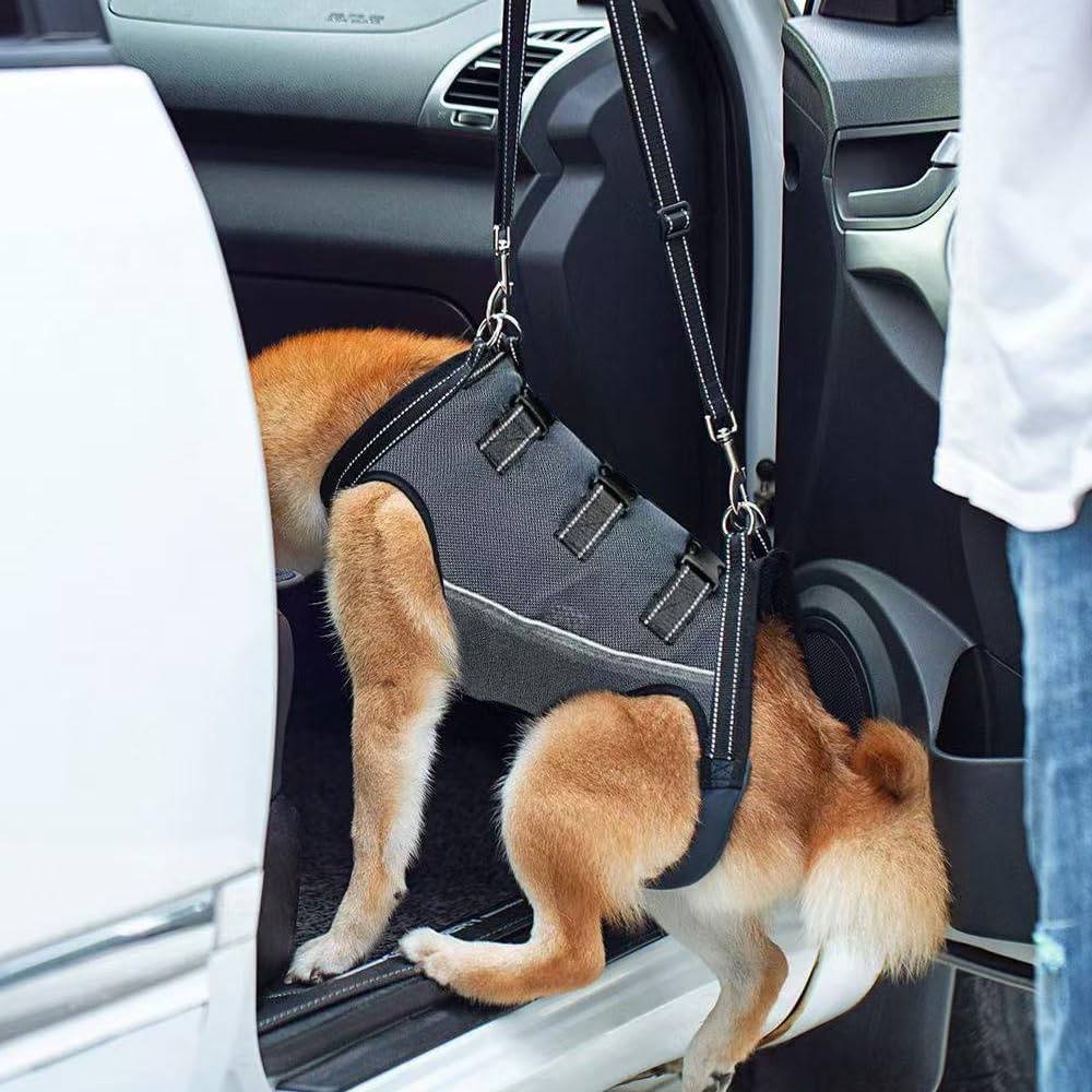 Harnais de levage pour chiens handicapés DtopbuyAge - Image 4