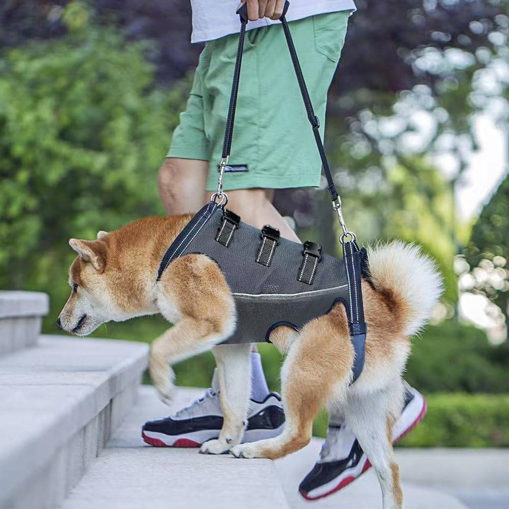 Harnais de levage pour chiens handicapés DtopbuyAge - Image 5