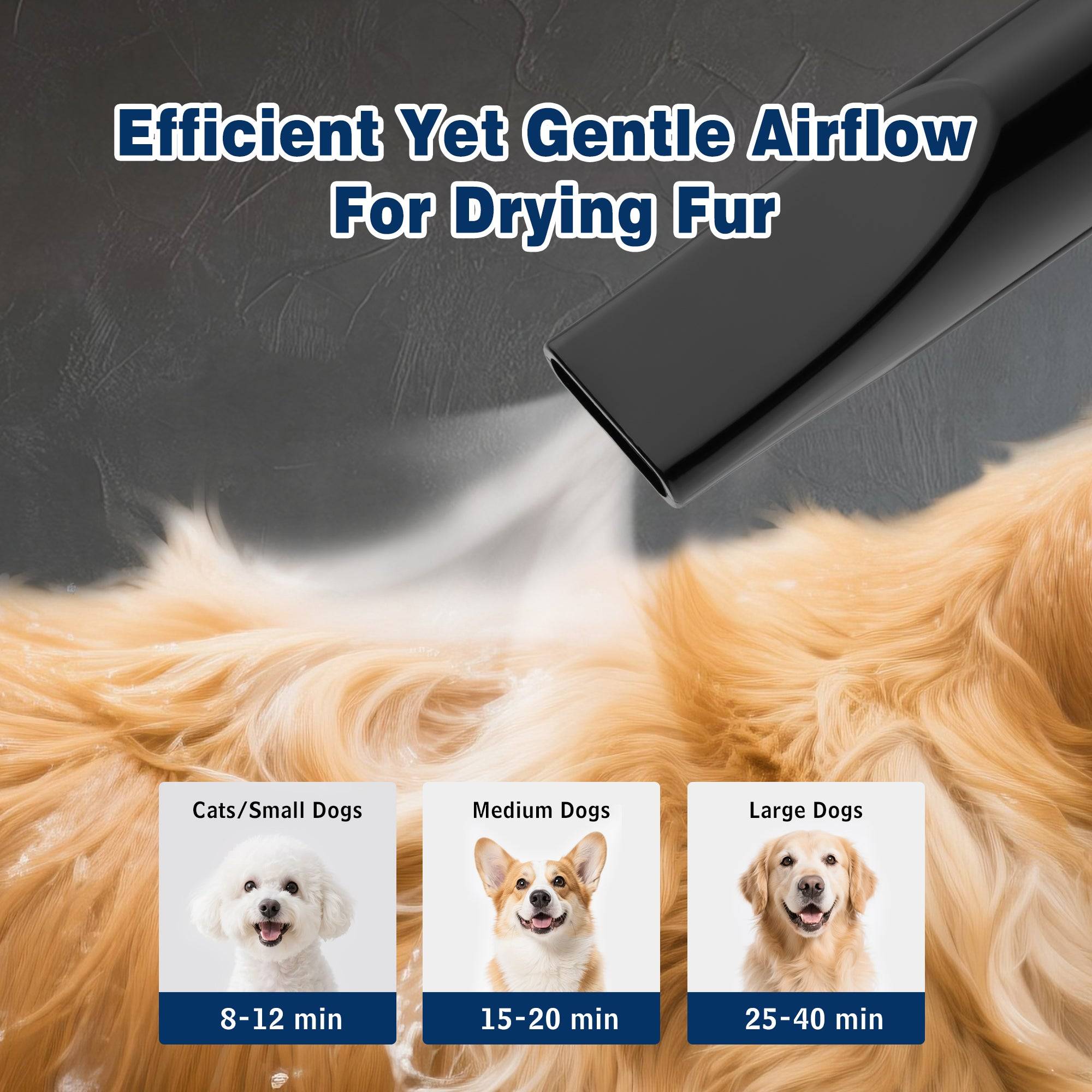 Sèche-Cheveux pour Chien Blower 3200 W, Pulseur Chien avec Aspirateur - Image 4