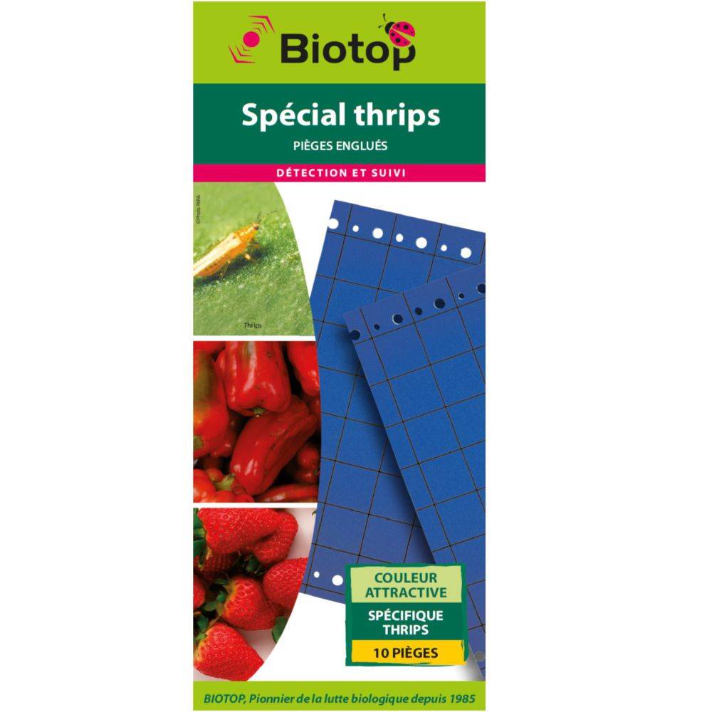 Biotop - Biotop - Piège collant bleu contre thrips - Image 1