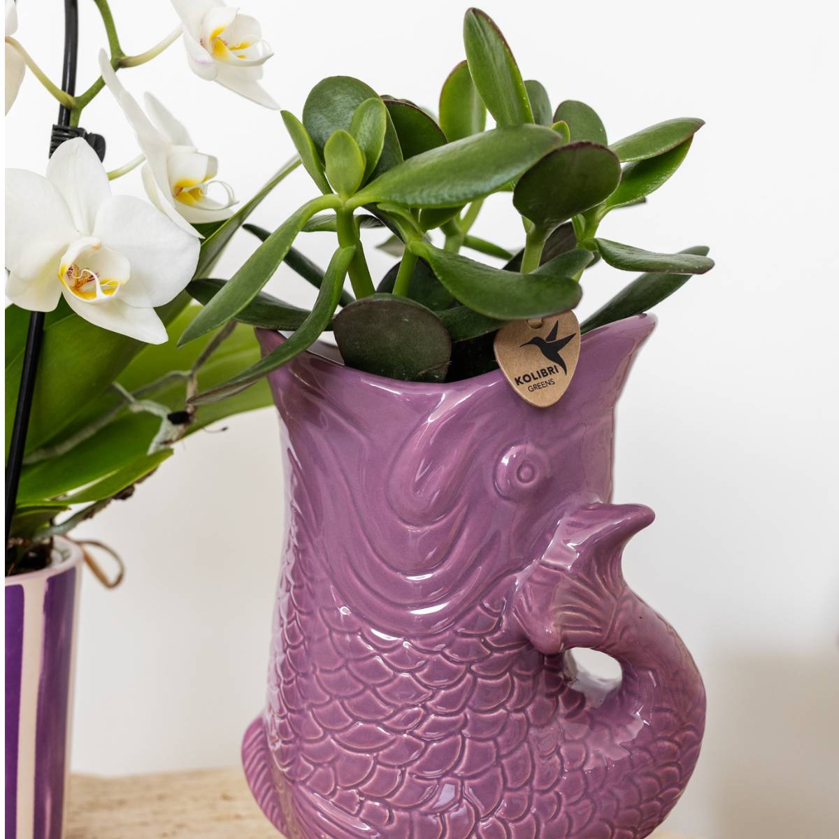 Cache-pot céramique forme poisson - touche ludique et marine - Pot de 9cm - lilas - Image 4