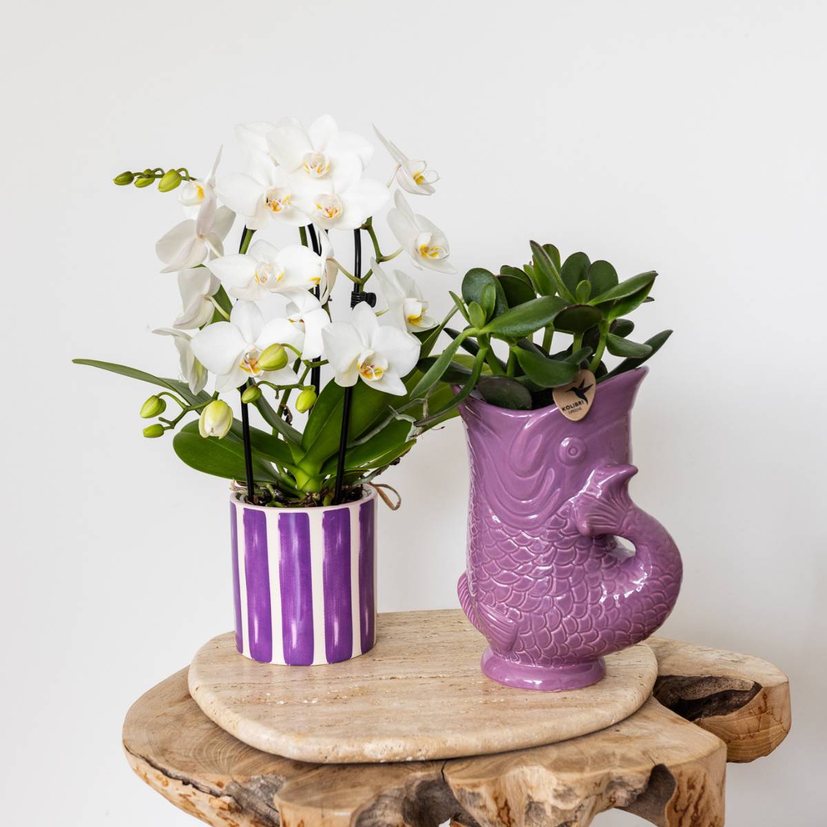 Cache-pot céramique forme poisson - touche ludique et marine - Pot de 9cm - lilas - Image 2