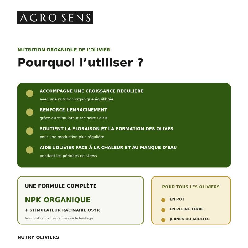 Nutri Oliviers - Engrais liquide pour oliviers - 1 litre (500 litres de préparation) - Image 2