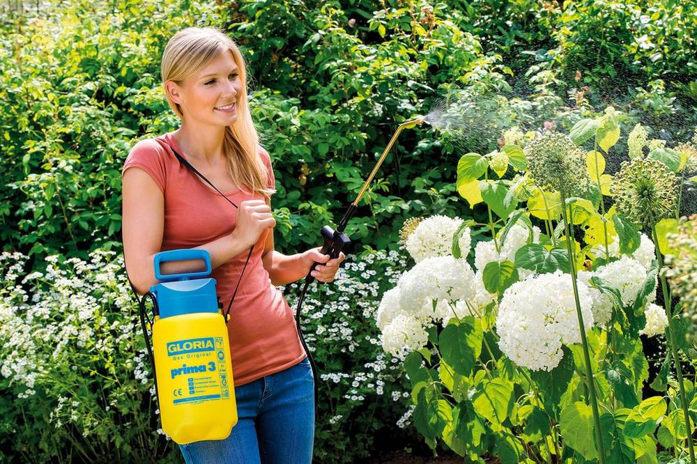 Sans Marque - Gloria Pulverisateur A Main Gloria - Modele Prima 3 - Avec Lance Et Sangle - Reservoir Polyethylene - 3l Pour Une Pression De 3 - Imagen 4