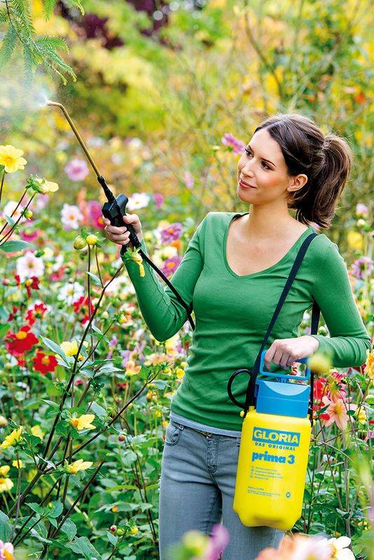 Sans Marque - Gloria Pulverisateur A Main Gloria - Modele Prima 3 - Avec Lance Et Sangle - Reservoir Polyethylene - 3l Pour Une Pression De 3 - Imagen 3