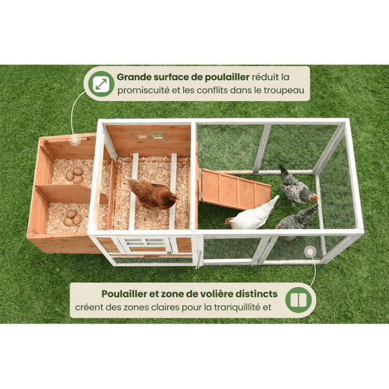 Poulailler en bois pour jardin extérieure 183x103x75cm Cage Canard avec Nichoir Modèle Ida - Image 6